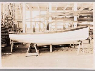 {{brizy_dc_image_alt entityId=