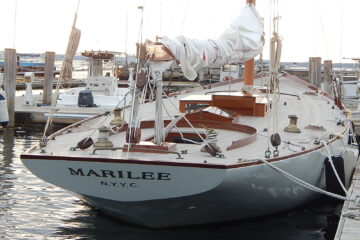 {{brizy_dc_image_alt entityId=