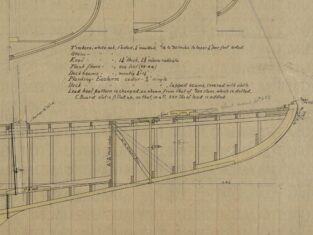 {{brizy_dc_image_alt entityId=