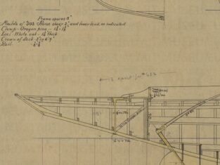 {{brizy_dc_image_alt entityId=