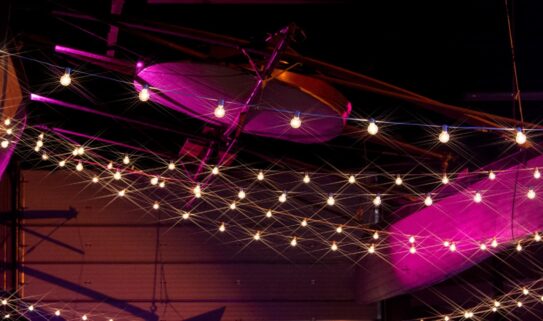 {{brizy_dc_image_alt imageSrc=