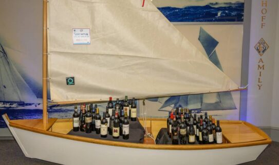 {{brizy_dc_image_alt imageSrc=