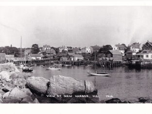 {{brizy_dc_image_alt entityId=