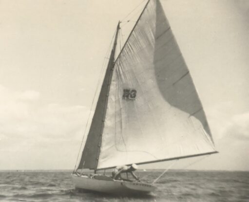 {{brizy_dc_image_alt entityId=