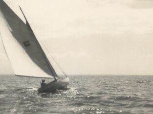 {{brizy_dc_image_alt entityId=