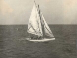 {{brizy_dc_image_alt entityId=