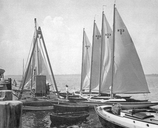 {{brizy_dc_image_alt entityId=